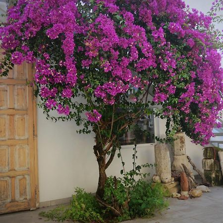 Casa De La Fra Apartment Jerez de la Frontera Bagian luar foto