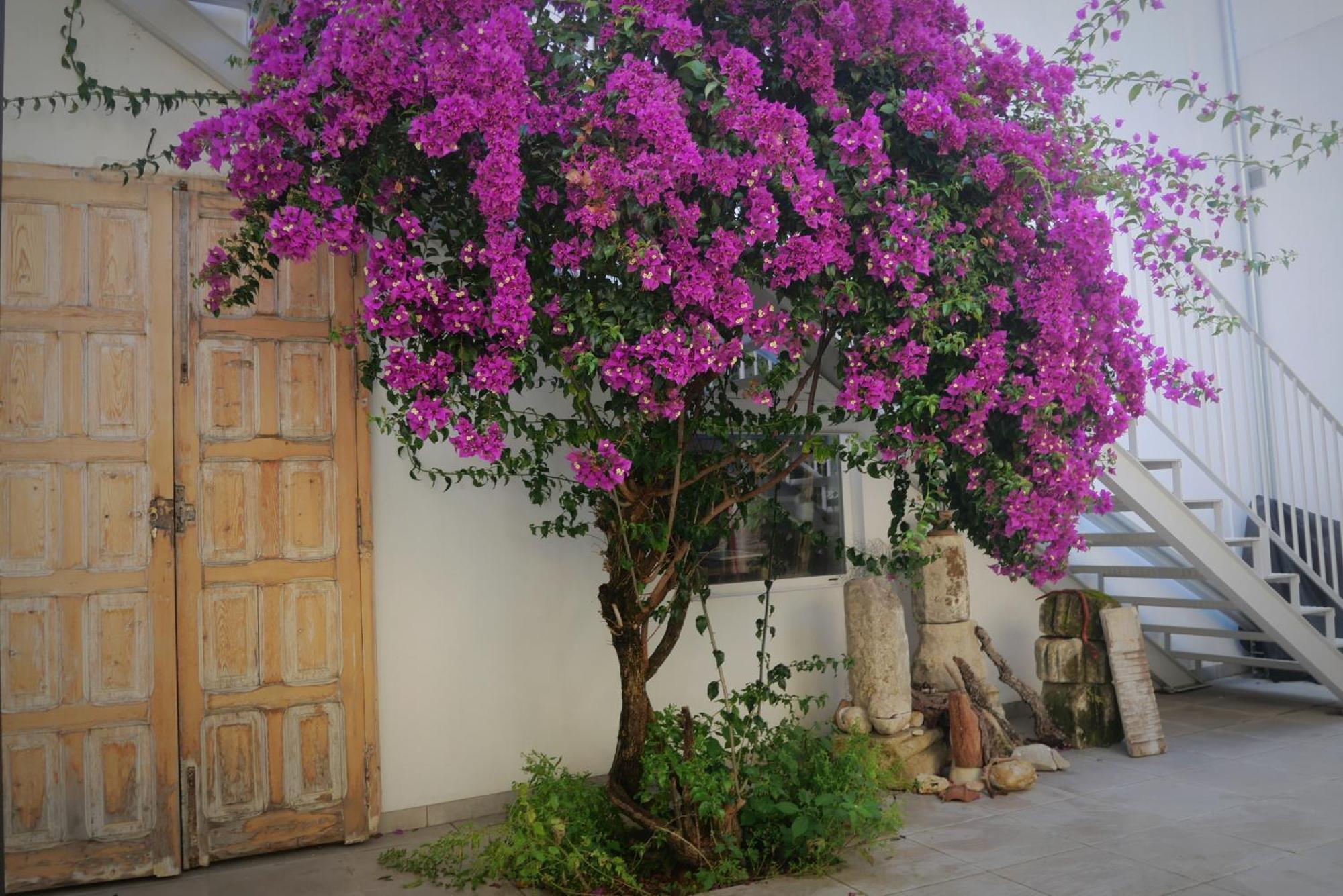 Casa De La Fra Apartment Jerez de la Frontera Bagian luar foto